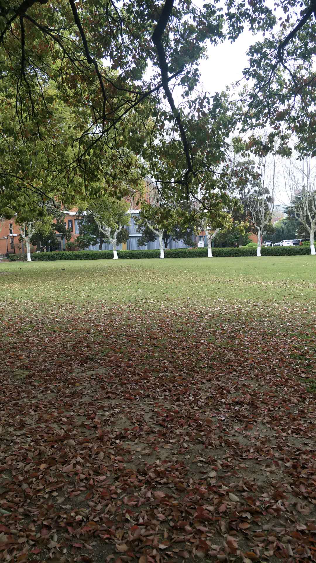 上海交通大学徐汇校园一景