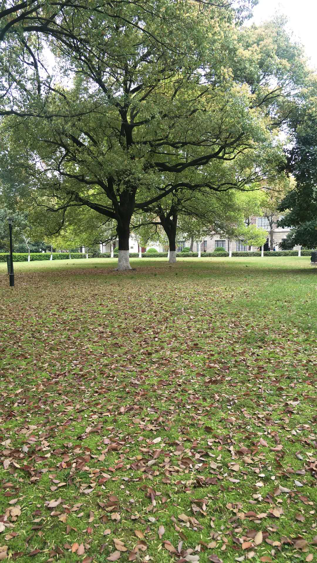 上海交通大学徐汇校园二景