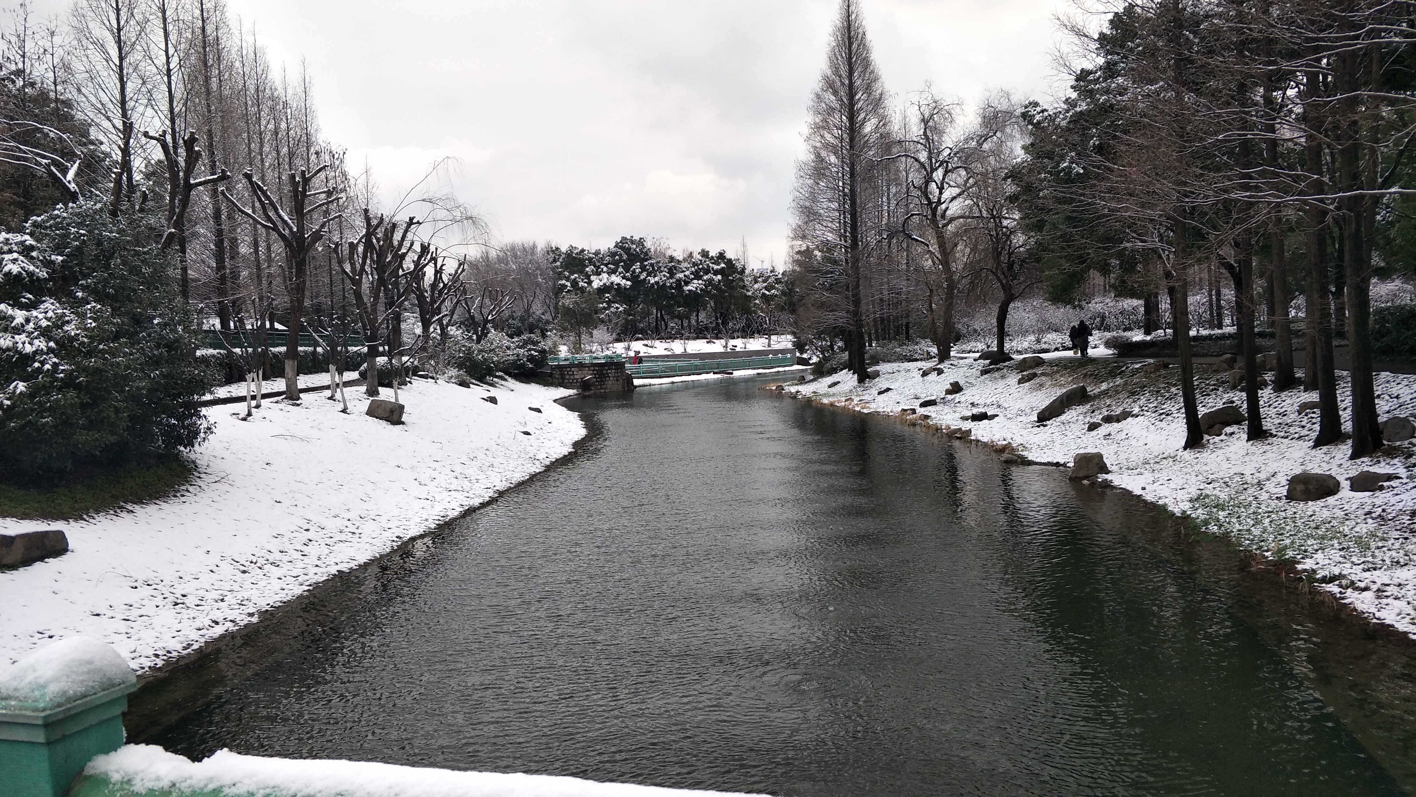 华泾公园的冬天1