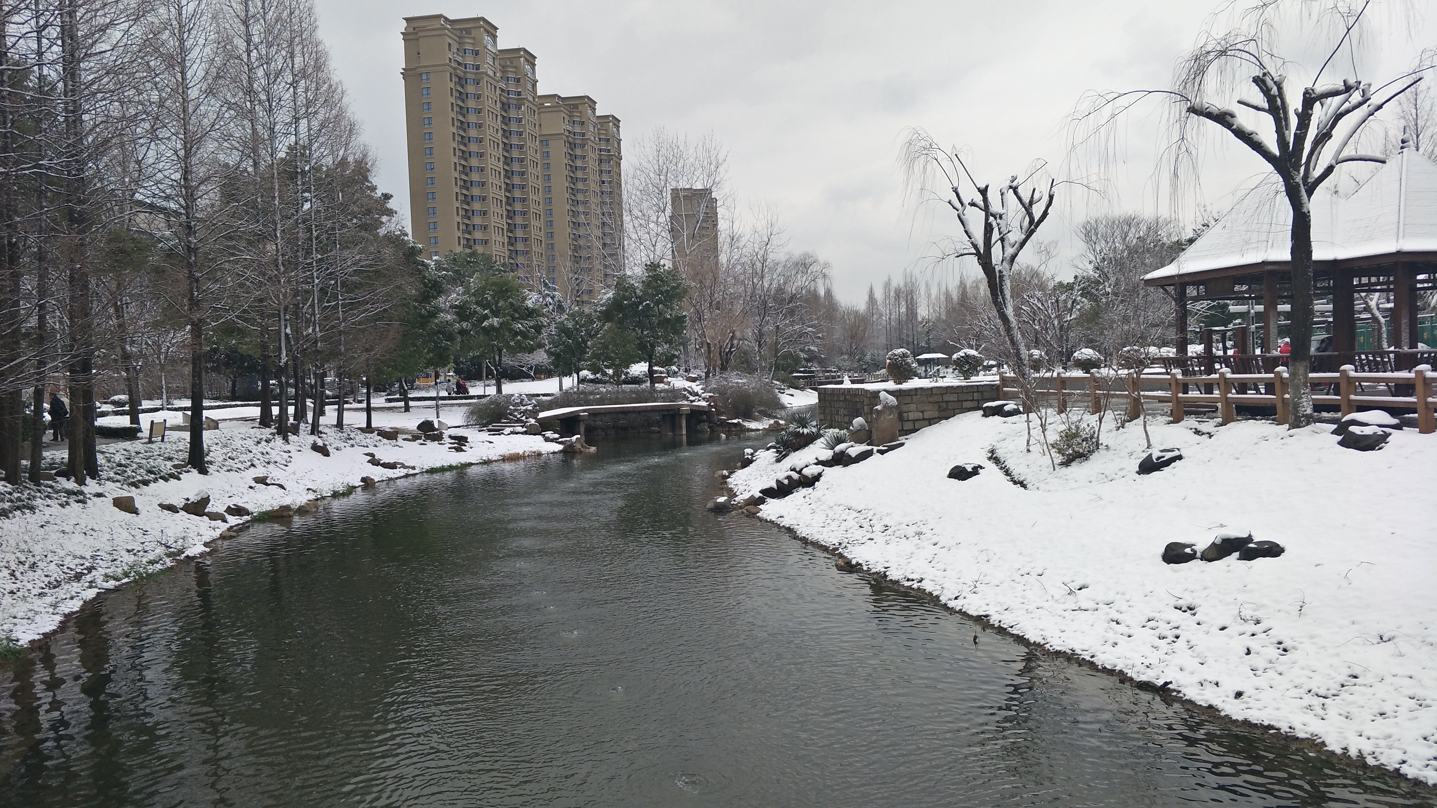 华泾公园的冬天2